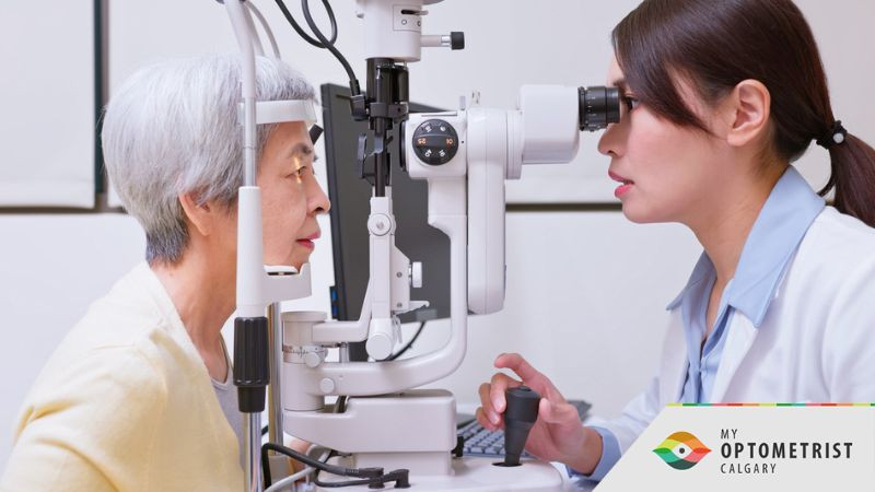 Age-Related Macular Degeneration: Common Symptoms, Risk Factors, and Treatment Options